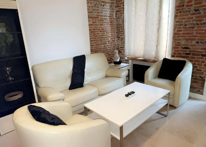 Appart Toulousaine Avec Patio Rdc